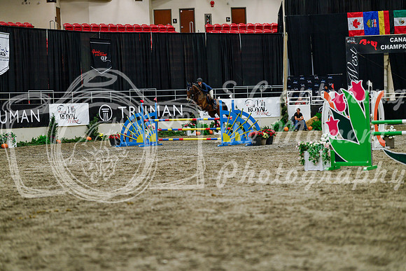 2025 - Haylee - Royal West - Thursday October 16th - 07896
