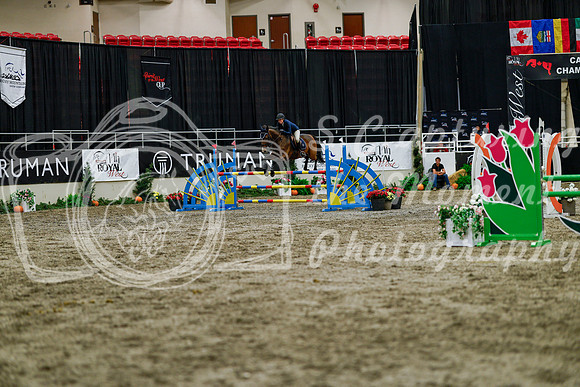 2025 - Haylee - Royal West - Thursday October 16th - 07902