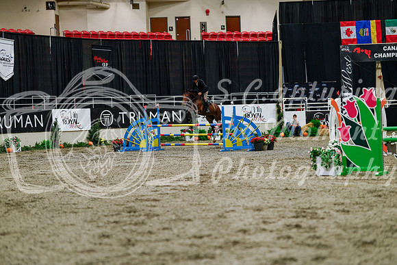 2025 - Haylee - Royal West - Thursday October 16th - 06912