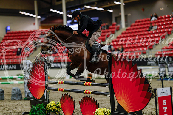 2025 - Haylee - Royal West - Thursday October 16th - 06925