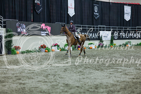 2025 - Shea - Royal West - Thursday October 16th - 05576