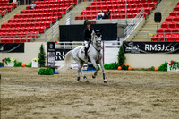 2025 - Haylee - Royal West - Thursday October 16th - 08504
