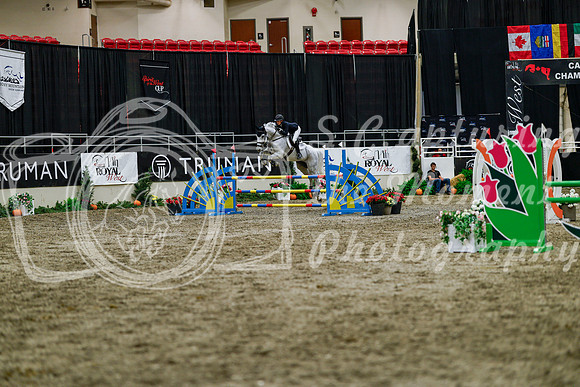 2025 - Haylee - Royal West - Thursday October 16th - 08522
