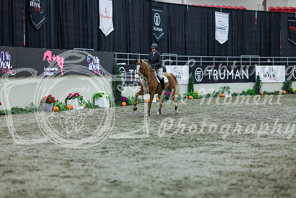 2025 - Shea - Royal West - Thursday October 16th - 05090