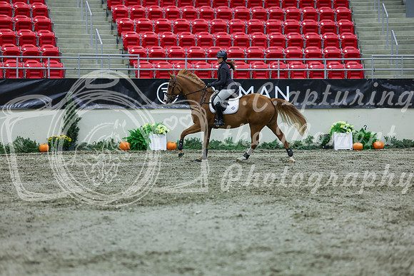 2025 - Shea - Royal West - Thursday October 16th - 05100