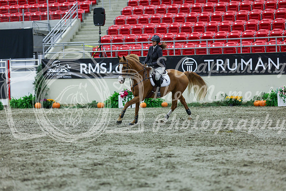 2025 - Shea - Royal West - Thursday October 16th - 05102