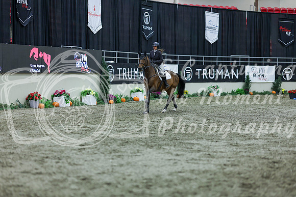 2025 - Shea - Royal West - Thursday October 16th - 05840