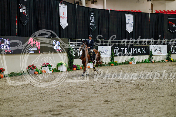 2025 - Haylee - Royal West - Thursday October 16th - 06724