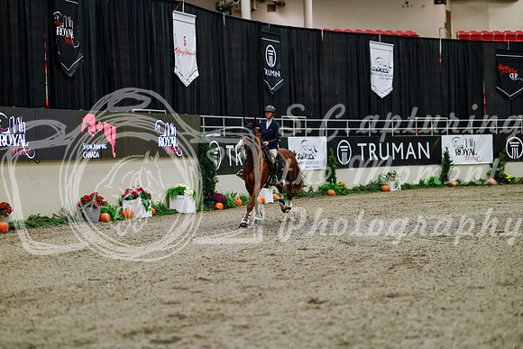 2025 - Haylee - Royal West - Thursday October 16th - 06723