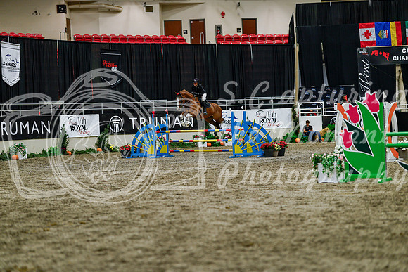 2025 - Haylee - Royal West - Thursday October 16th - 08305