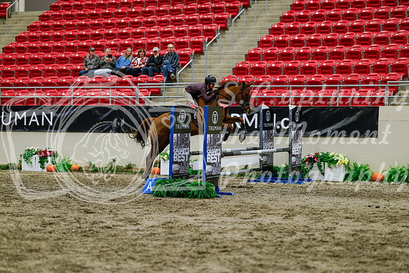 2025 - Haylee - Royal West - Thursday October 16th - 02883