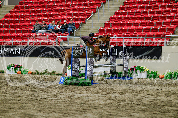 2025 - Haylee - Royal West - Thursday October 16th - 02884