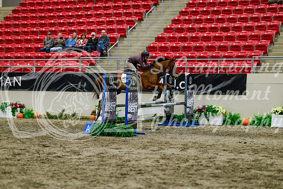 2025 - Haylee - Royal West - Thursday October 16th - 02886