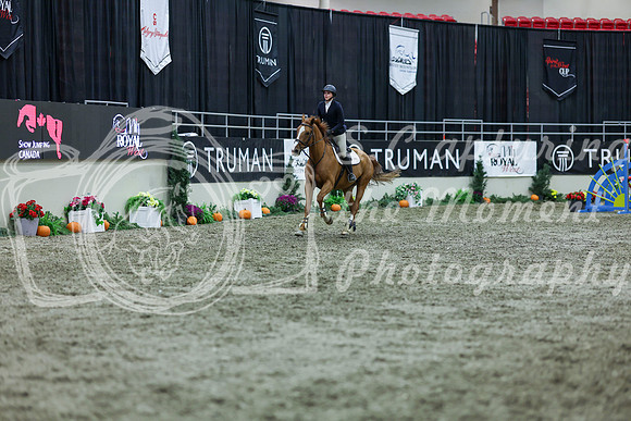 2025 - Shea - Royal West - Thursday October 16th - 06269