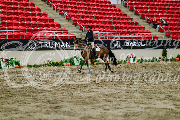 2025 - Haylee - Royal West - Thursday October 16th - 03045