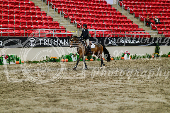2025 - Haylee - Royal West - Thursday October 16th - 03046