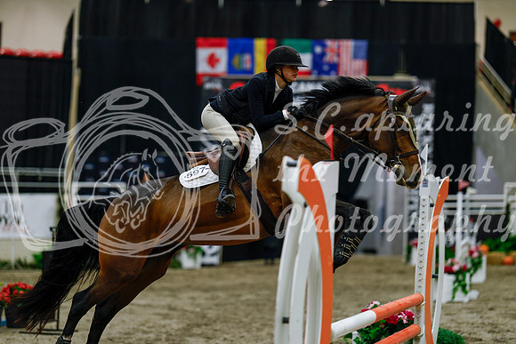 2025 - Haylee - Royal West - Thursday October 16th - 03054