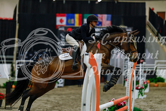 2025 - Haylee - Royal West - Thursday October 16th - 03055