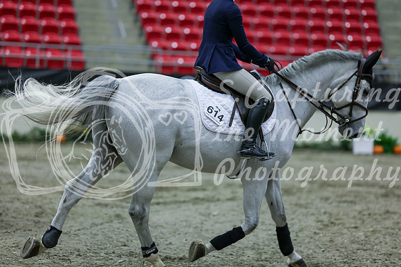 2025 - Shea - Royal West - Thursday October 16th - 03565
