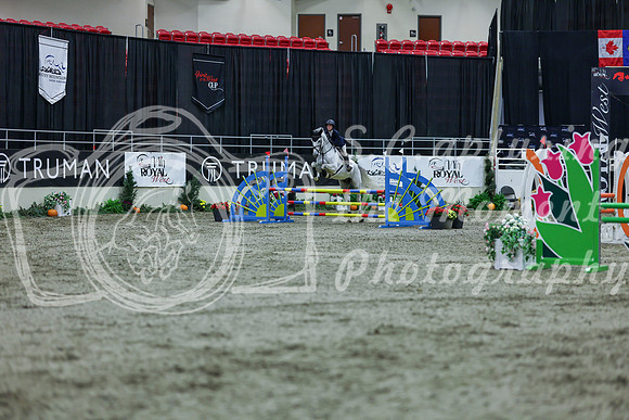 2025 - Shea - Royal West - Thursday October 16th - 03571