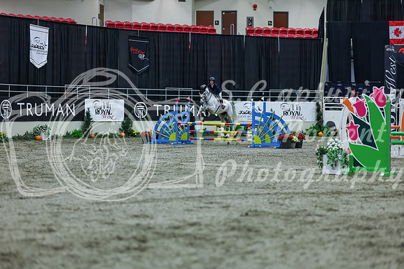 2025 - Shea - Royal West - Thursday October 16th - 03573