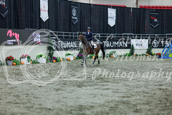 2025 - Shea - Royal West - Thursday October 16th - 04522