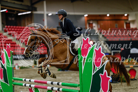2025 - Haylee - Royal West - Thursday October 16th - 01754