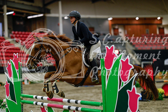 2025 - Haylee - Royal West - Thursday October 16th - 01755