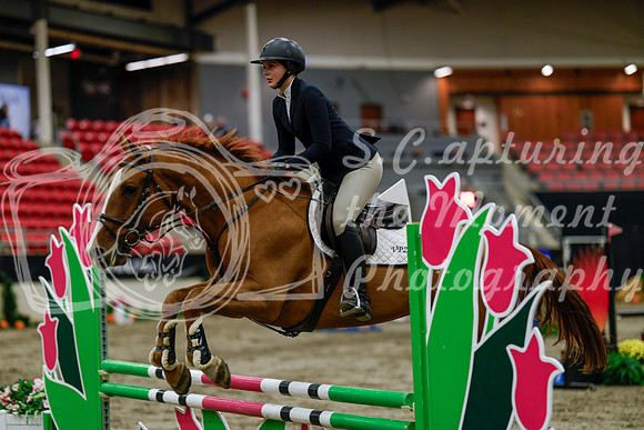 2025 - Haylee - Royal West - Thursday October 16th - 01756