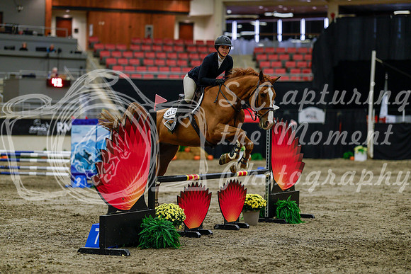 2025 - Haylee - Royal West - Thursday October 16th - 01769