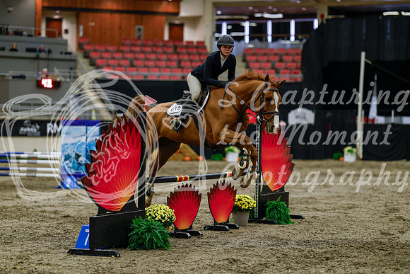 2025 - Haylee - Royal West - Thursday October 16th - 01771