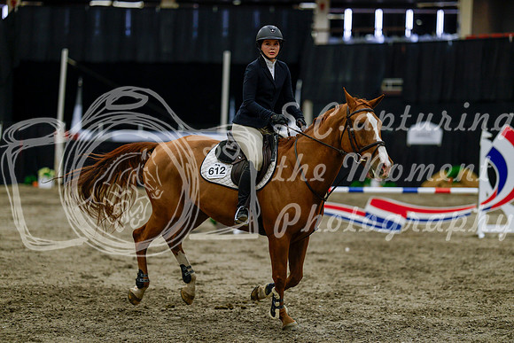 2025 - Haylee - Royal West - Thursday October 16th - 01775