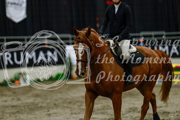 2025 - Haylee - Royal West - Thursday October 16th - 01803