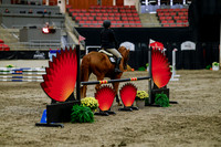 2025 - Haylee - Royal West - Thursday October 16th - 01805