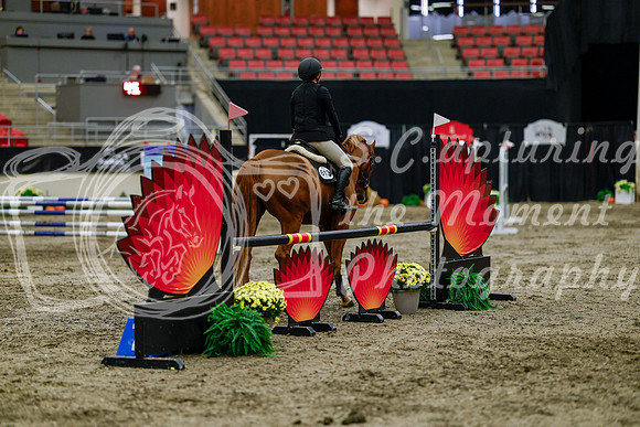 2025 - Haylee - Royal West - Thursday October 16th - 01805