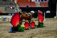 2025 - Haylee - Royal West - Thursday October 16th - 01806