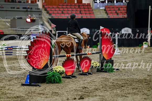 2025 - Haylee - Royal West - Thursday October 16th - 01808