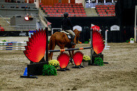 2025 - Haylee - Royal West - Thursday October 16th - 01807