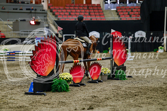 2025 - Haylee - Royal West - Thursday October 16th - 01807