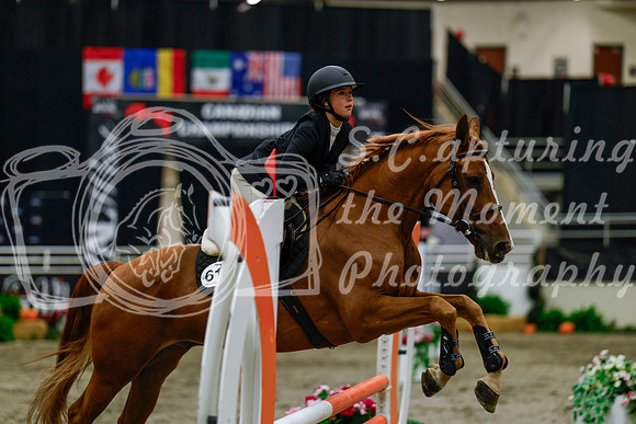 2025 - Haylee - Royal West - Thursday October 16th - 01818