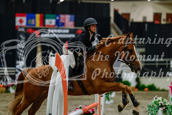 2025 - Haylee - Royal West - Thursday October 16th - 01819