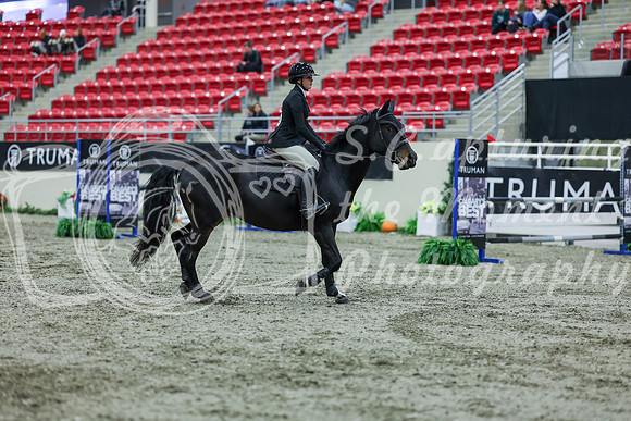 2025 - Shea - Royal West - Thursday October 16th - 04004
