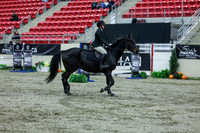 2025 - Shea - Royal West - Thursday October 16th - 04007