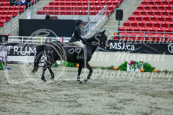 2025 - Shea - Royal West - Thursday October 16th - 04010