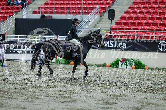 2025 - Shea - Royal West - Thursday October 16th - 04011
