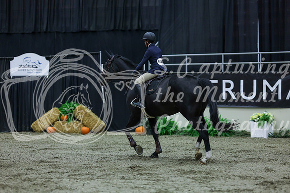 2025 - Shea - Royal West - Thursday October 16th - 03920
