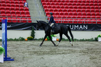 2025 - Shea - Royal West - Thursday October 16th - 03924