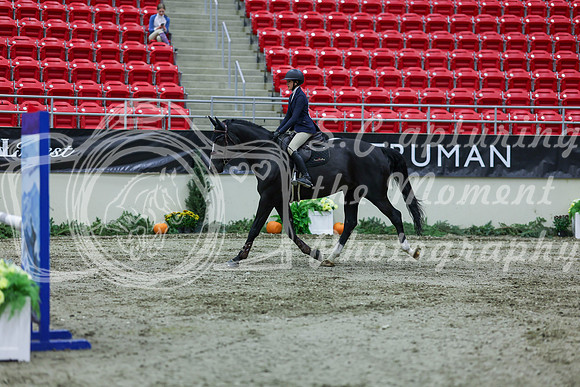 2025 - Shea - Royal West - Thursday October 16th - 03925