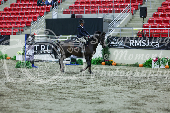 2025 - Shea - Royal West - Thursday October 16th - 04062