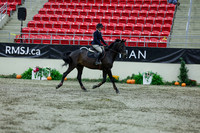 2025 - Shea - Royal West - Thursday October 16th - 04068